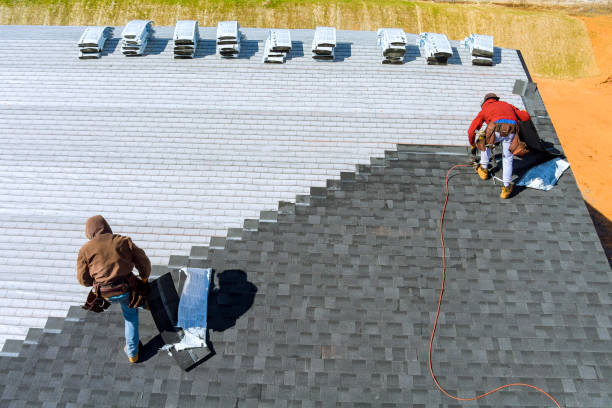 Roof Gutter Cleaning in Townsend, DE